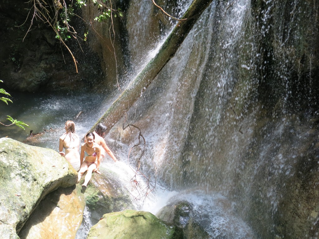 Finca El Paraiso 3