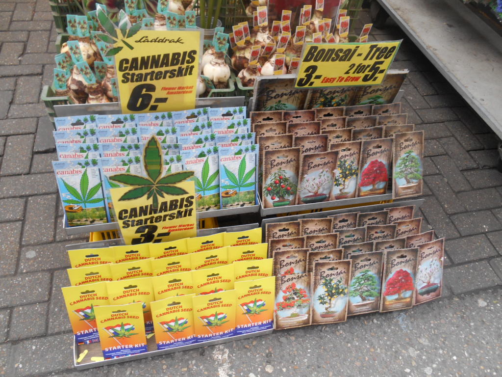 Cannabis in Amsterdam.